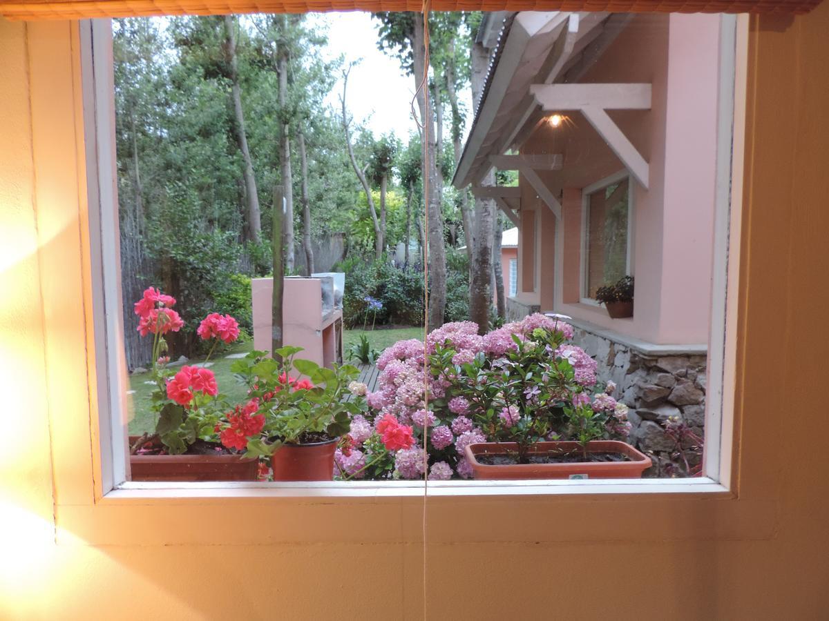 Puerto De Lilas Las Gaviotas Ngoại thất bức ảnh
